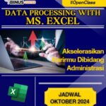 Microsoft Excel